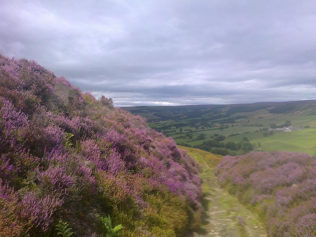 Barmoors Bed & Breakfast Lastingham Bagian luar foto