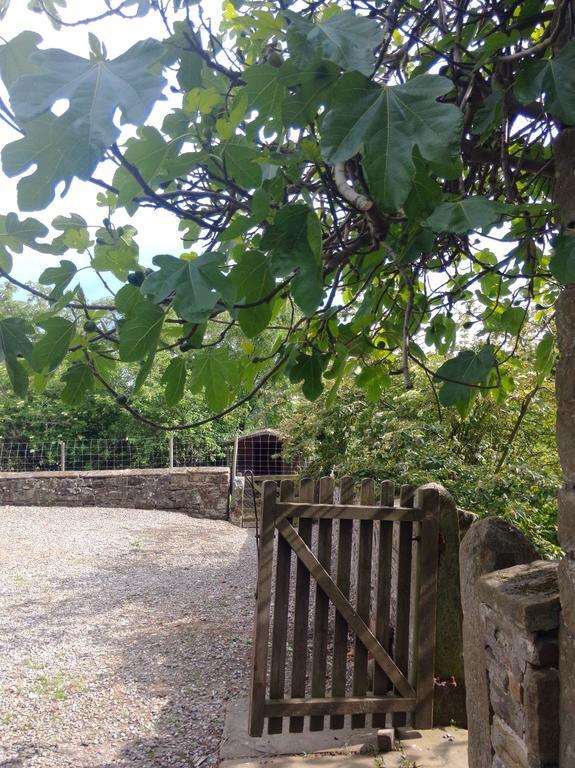 Barmoors Bed & Breakfast Lastingham Bagian luar foto