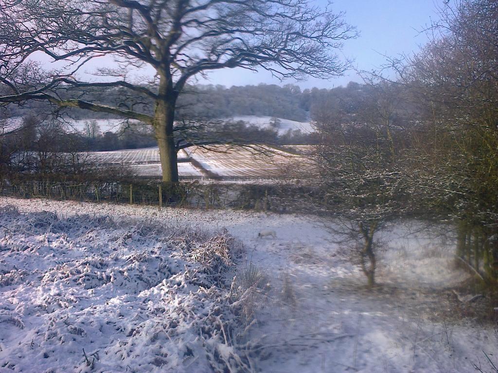 Barmoors Bed & Breakfast Lastingham Bagian luar foto
