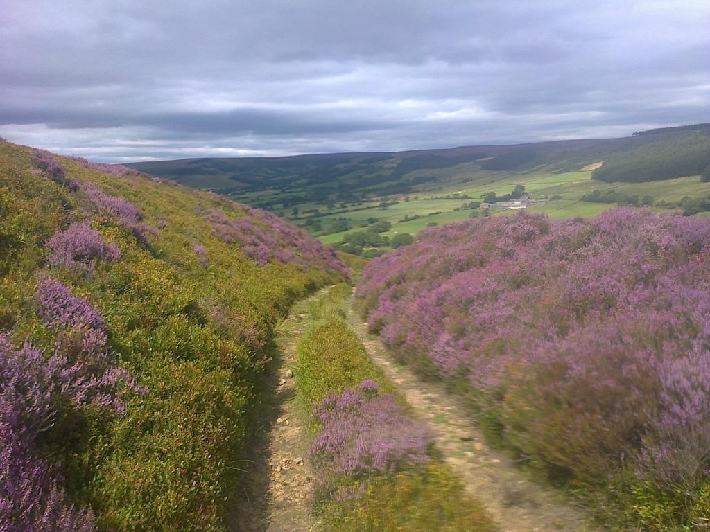 Barmoors Bed & Breakfast Lastingham Bagian luar foto